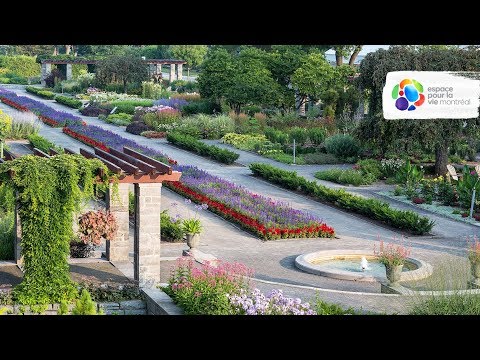 Vidéo: Description et photos des jardins botaniques de Victoria (Jardin botanique) - Seychelles: Victoria