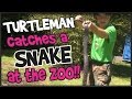 Turtleman catches a snake at the zoo!!