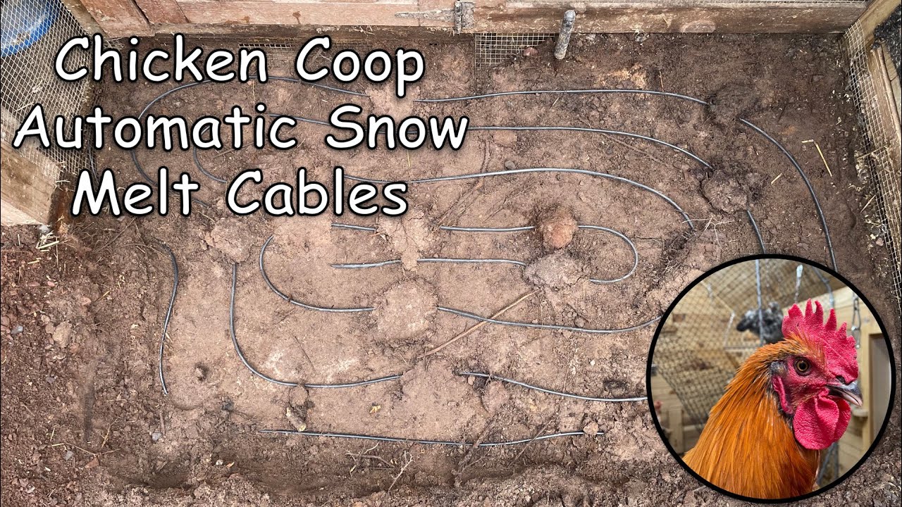 Curated visual reference: Picture Idea: Winter Chicken Coop Tip Melting Snow Automatically