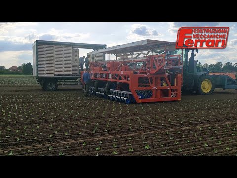 Ferrari Fastblock Transplanter