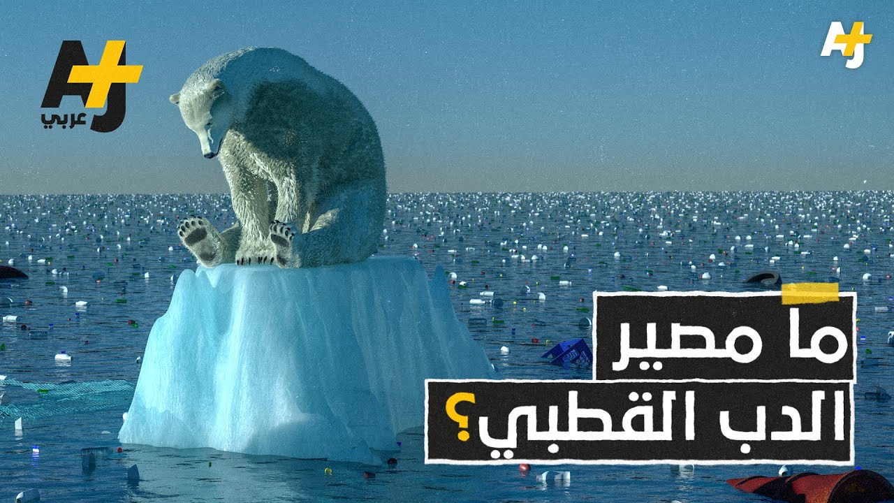 دولة قد يبتلعها المحيط والدب القطبي يواجه الانقراض.. ما القصة؟