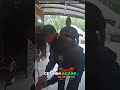 Full Brawl Erupts Between Police and Domestic-Violence Suspect!