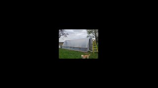 Cattle Panel Hoop House