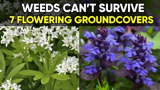 These Plants Stop Weeds 🌿 | 7 Beautiful Mulch Alternatives!