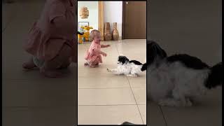 Baby reaction to new dog in the house 🥺 (🎥: BViral)