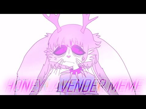 honey-lavender-|meme|