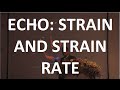 Echocardiography: Strain and Strain Rate by Dr Charit Bhograj