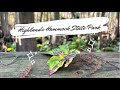 Highlands Hammock State Park Part 1   4K