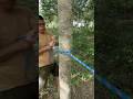  วิธีผูกราวตากผ้าหรือผูกดึงเส้น #tiearope #ดึงเชือก #diy #ต่อเชือก #rope #funny#วิธีผูกเชือก