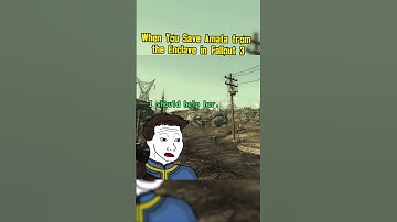 When You Save Amata from the Enclave in Fallout 3: #fallout #memes #shorts