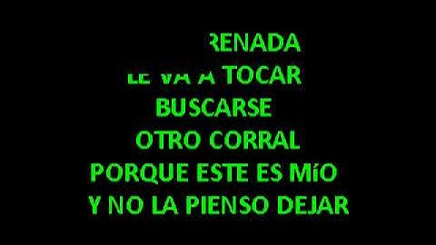 Arelys Henao   La Patrona   Corrido PKP mp4 Karaoke