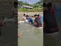 Amazing Village Fish Catch🐟 #viral