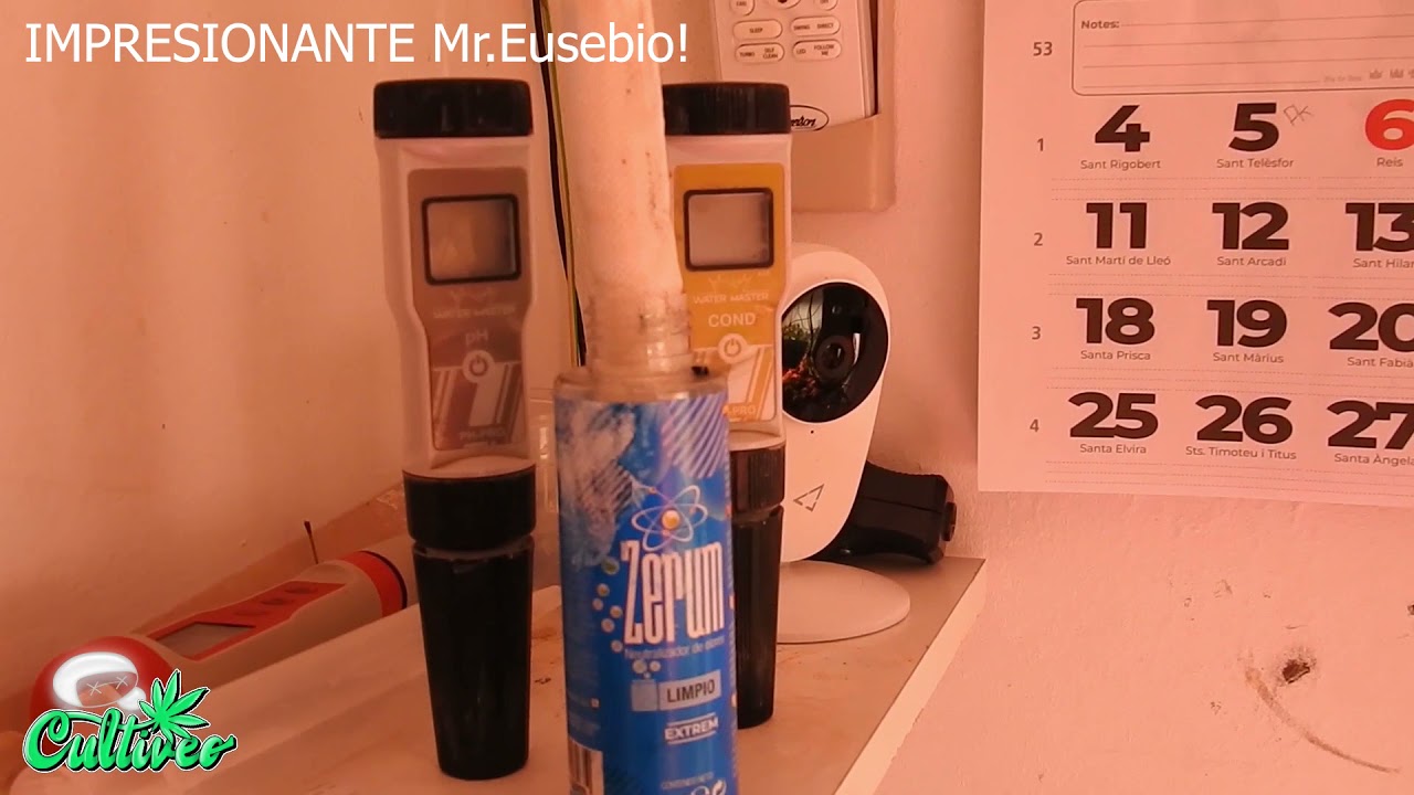 CULTIVEO HIGHLIGHTS 2