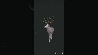 Great one mule deer grind day 2 #thehuntercallofthewild #hunting #greatonegrind #tutorial #music