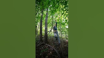 harvesting kudzu #kudzu #naturelovers #basketmaking #forest #foraging #appalachia
