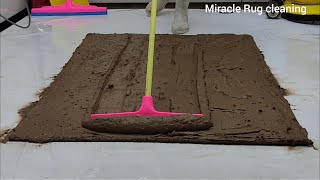 Revival of a heavily contaminated carpet!who was immersed in Gol Velai for many years, exciting asmr by Miracle Rug Cleaning 5,393 views 12 days ago 18 minutes