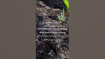 Quran Tilawat Surat Taha|Mitti dene ki dua| Quran| سورة طه| सुरहताहा| Qeerat| Quran|Beautiful Qeerat