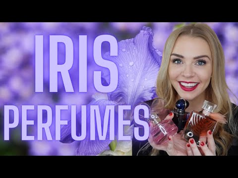 Video: What is orris root? The most famous types of iris: description with photo