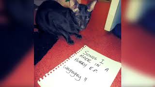 Weyheyhey - Wearing A Shirt That Says Microphyst