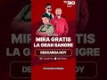 🐉 ¡La Gran Sangre está de vuelta! Mira gratis las aventuras de Dragón, Mandril y Tony en TV360 👊✨