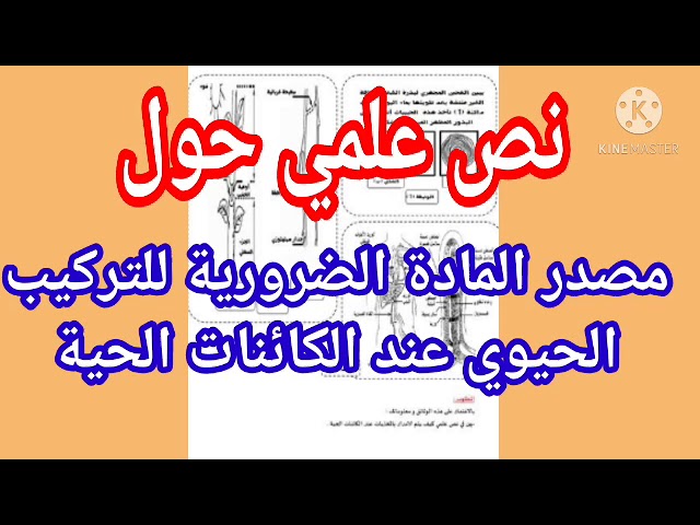 نص علمي حول مصدر المادة الضرورية للتركيب الحيوي عند الكائنات الحية |دروس العلوم الطبيعية1ثانوي علمي