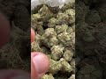 Pandemic Diamonds