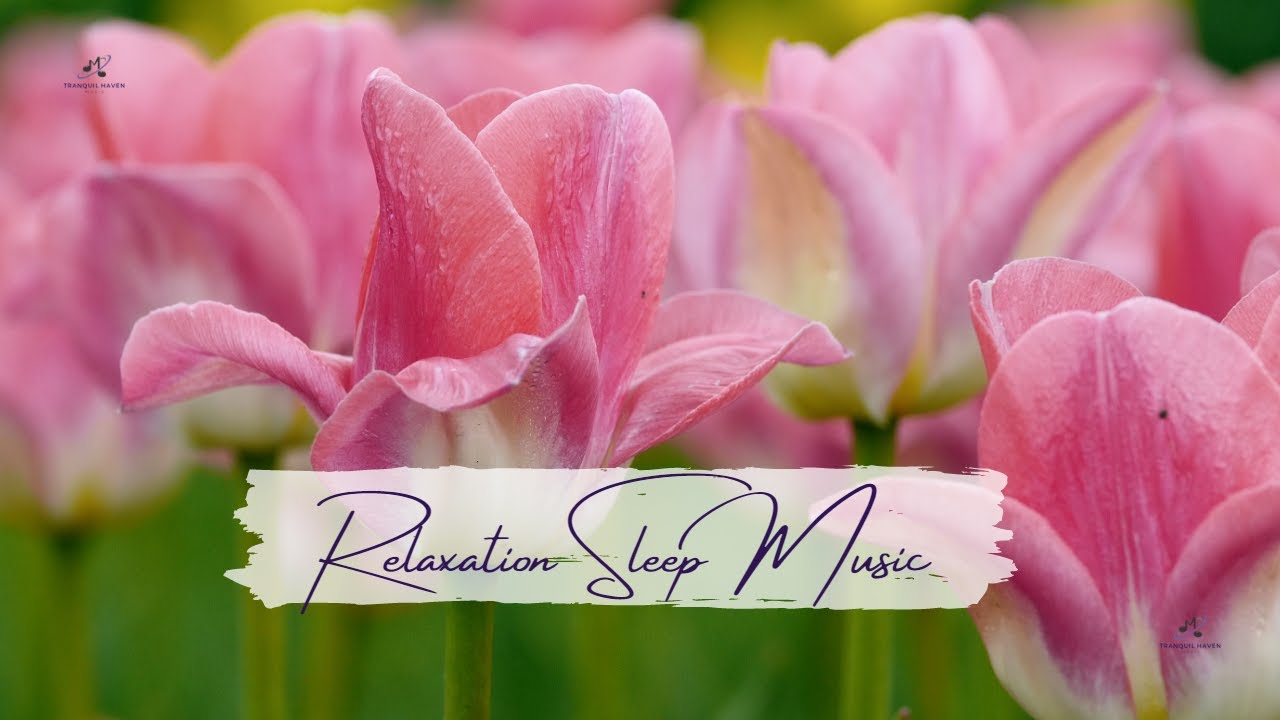 Spring Study Music Springtime Music, Study Music, Stress Relief - YouTube