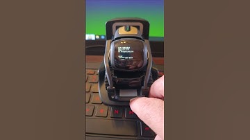 Vector Back to Stock Firmware #wirepod #vector #ddl #shorts #ai #robot #installation #android