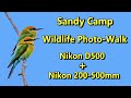 Sandy Camp Wetlands Reserve Wildlife Photo Walk 7th June 2022