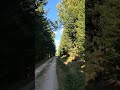 Jinačí