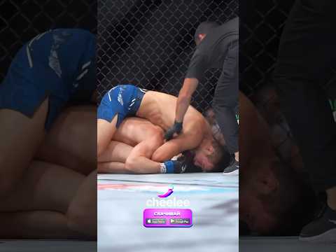 Видео: Шавкат Рахмонов задушил Стивена Томпсона #shavkatrakhmonov #ufc #mma #ufc296