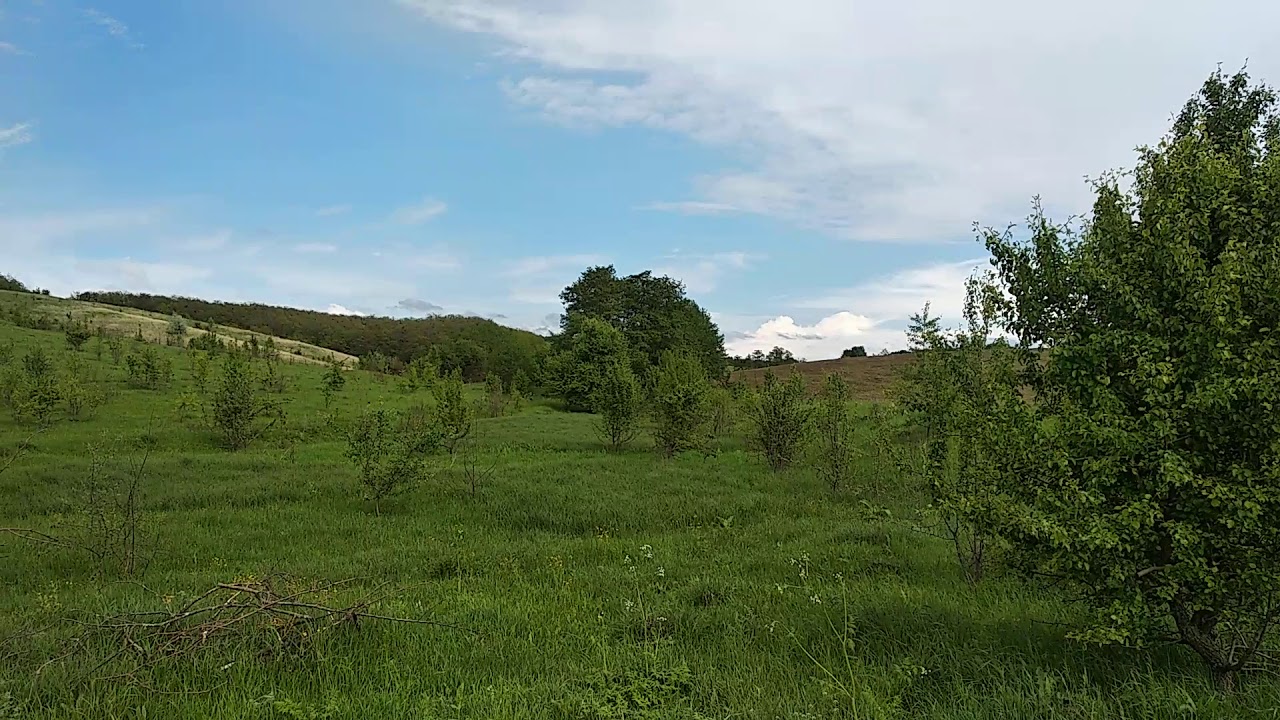 Медвин Тотоха - YouTube