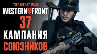 Снайперы! ♟ Прохождение The Great War: Western Front #37