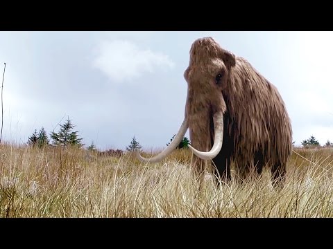 Video: Hundeklonskaperen Vil Klone Mammut - Alternativt Syn