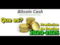 Bitcoin Cash BCH Que es??? Predicciones de precio 2020-2025... Me conviene invertir???