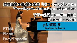 ブラームス：交響曲 第3番 第3楽章「ポコ・アレグレット」 - 演奏動画のサムネイル