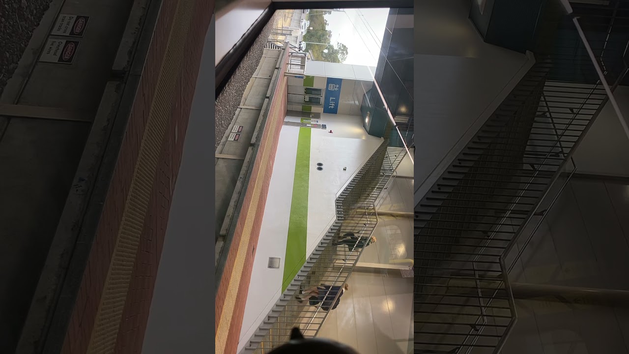 C Series train Set-131