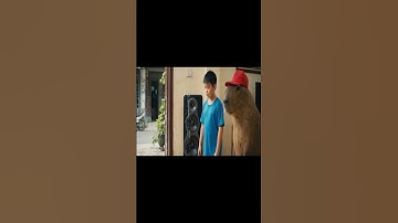 Capy và anh giúp bà lau loa âm thanh và cái kết #capybara #ongbavaboss #vuive