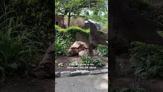 Hidden Gem Museums in Memphis | Part 2