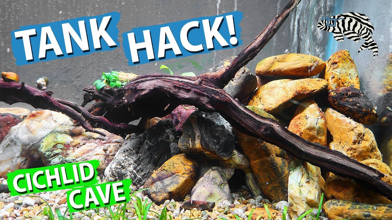 EASY! “Natural" Cichlid Cave YouTube