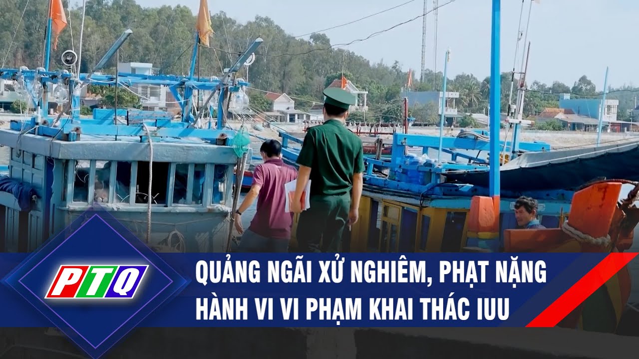 Quảng Ngãi xử nghiêm, phạt nặng hành vi vi phạm khai thác IUU | PTQ