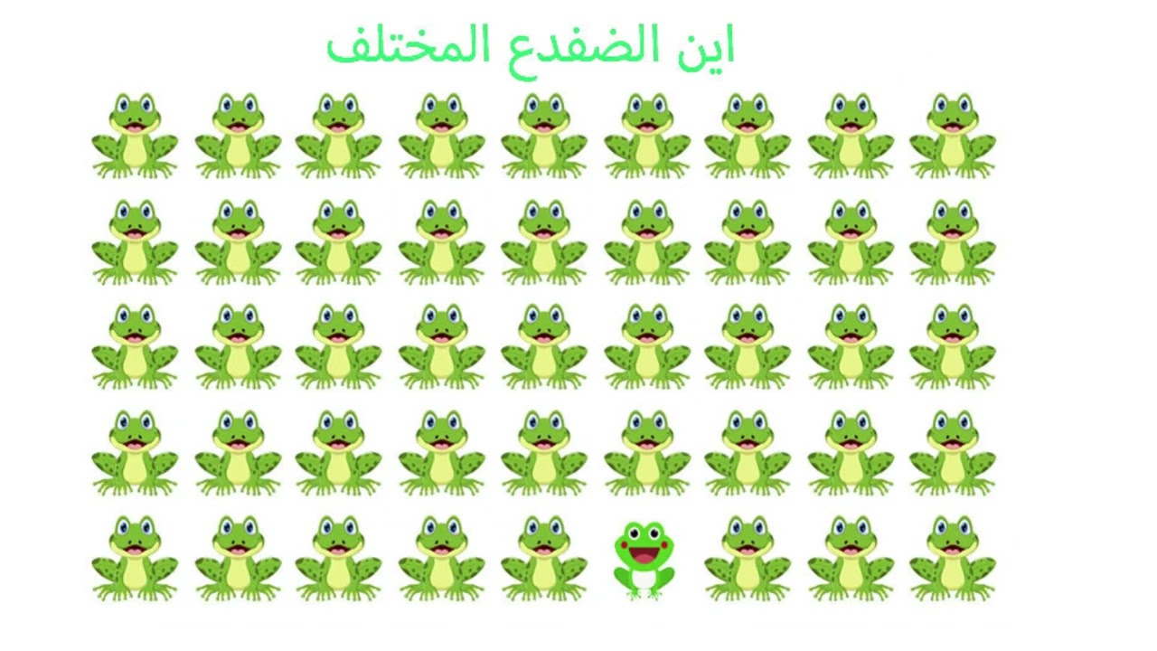 ابحث عن الحيوان المختلف , جد الشيء المختلف