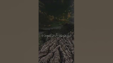 قران كريم #duet #دويتو #اكسبلور #beautiful #unfrezzmyaccount