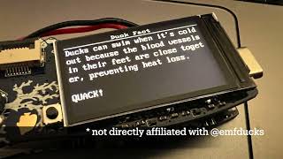 A Duck Facts app for the EMF Camp 2022 badge screenshot 4