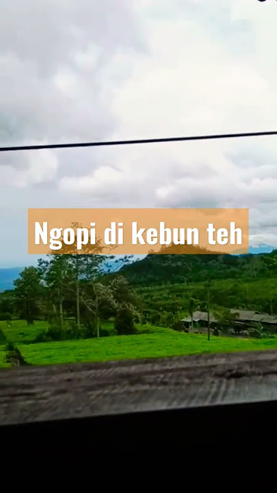 istirahat di kebun teh#bandung #lembang #kebun #kopi