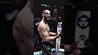 Чеченский Борз🐺🏆#hamzatchimaev #borz #ufc