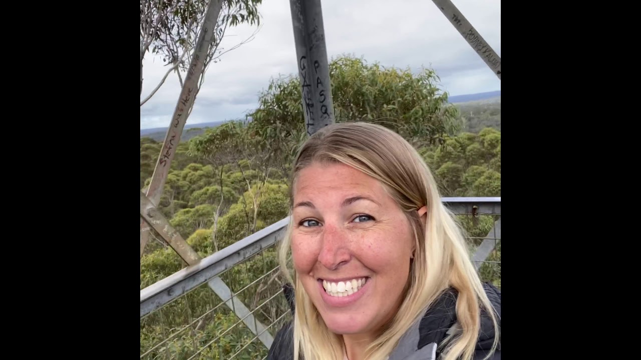 Bicentennial And Gloucester Tree Pemberton WA YouTube