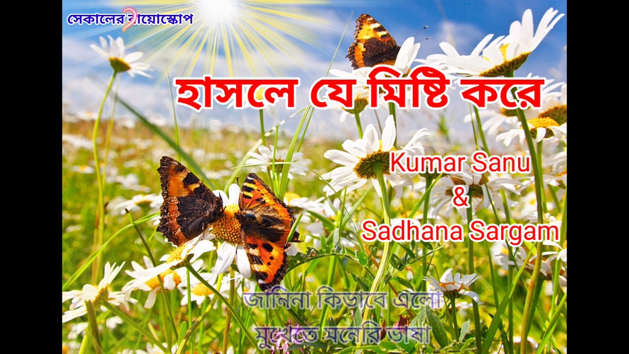 Hasle je misti kore     with lyrics Kumar sanu  Sadhana Sargam