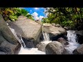 🎋 Zen River Music, Japanese Flute, Meditation Sounds, Inner Peace, Sleep 🌊 Silent Waters Temple