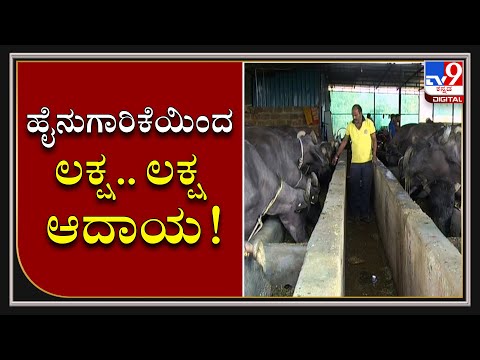Dairy Farming & Agriculture Brings Success For Politician In Bidar